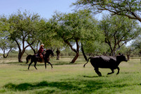 RanchoSonado18_6015