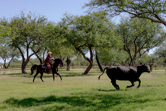 RanchoSonado18_6015