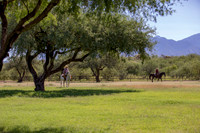 RanchoSonado18_6018