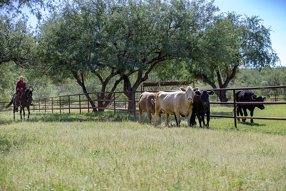 RanchoSonado18_6115