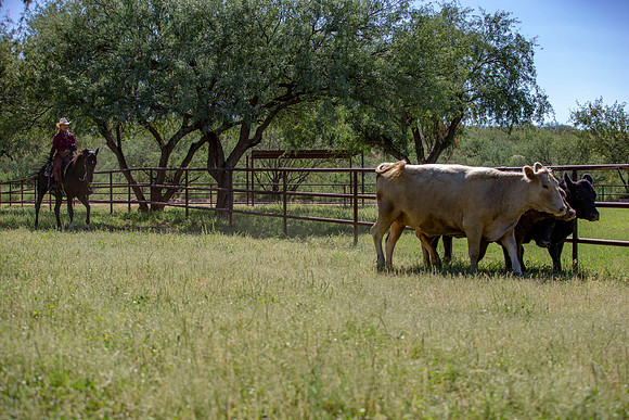 RanchoSonado18_6122