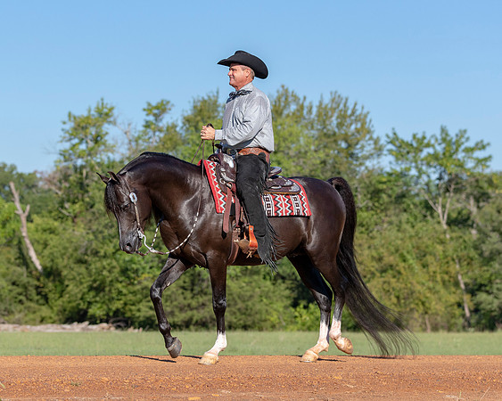 RSTx18_1071