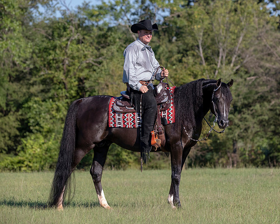RSTx18_1178