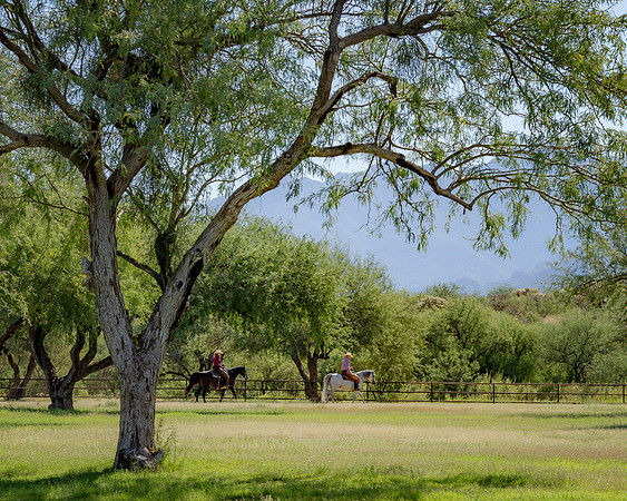 RanchoSonado_5939