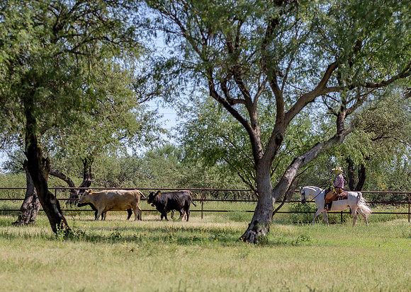 RanchoSonado_5989B