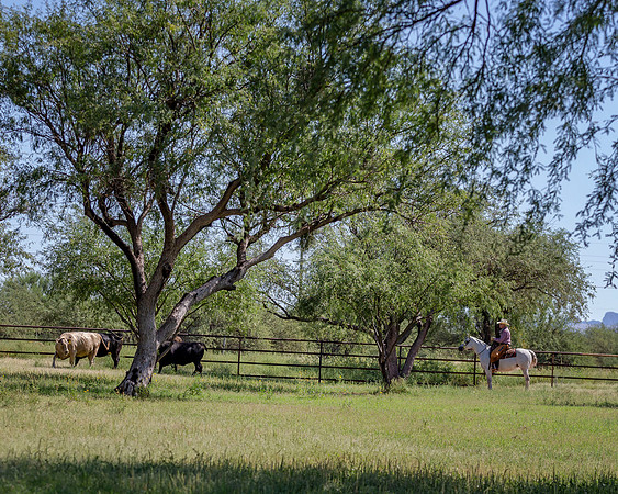 RanchoSonado_5987