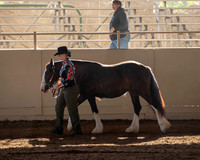 MLMH_2018_0968