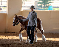 MLMH_2018_0969