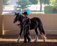 MLMH_2018_0971