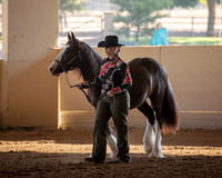 MLMH_2018_0972