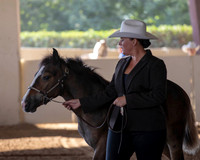 MLMH_2018_0973