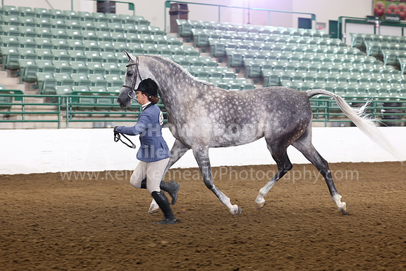 R322_CH_Thurs_2304