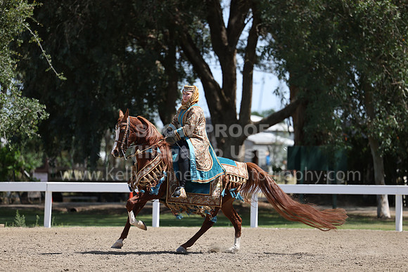 DAHA22_Thurs_0893