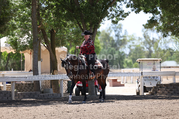 DAHA22_Thurs_0953