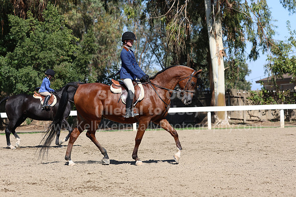 DAHA_FF22_3209