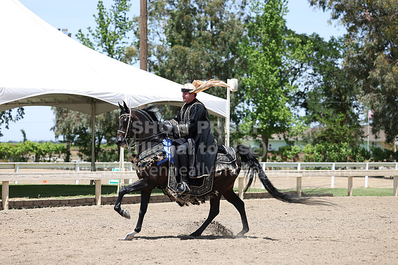 DAHA22_Thurs_1170