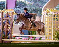 MurietaAutumn18_H&HB_0158B