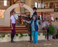 MurietaAutumn18_H&HPony_3288