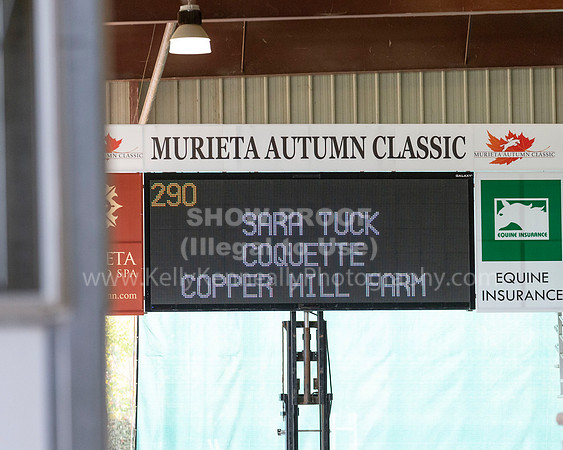 MurietaAutumn18_4064