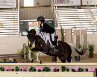 Horse & Hound Pony Finals