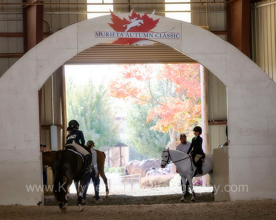 MurietaAutumn18_4387