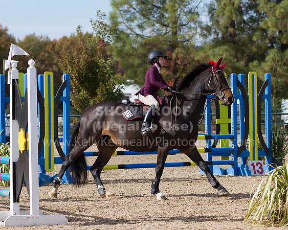 MurietaAutumn18B_2225