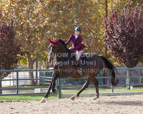 MurietaAutumn18B_2234