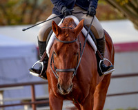 MurietaAutumn18B_2114