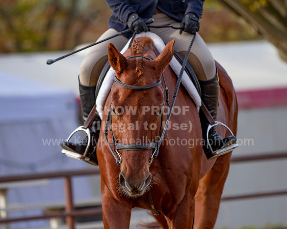 MurietaAutumn18B_2114