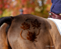MurietaAutumn18B_2169