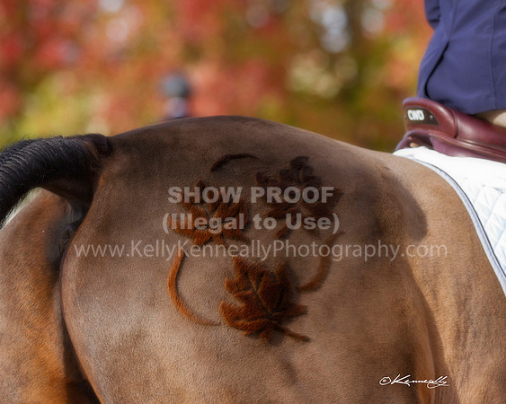 MurietaAutumn18B_2169