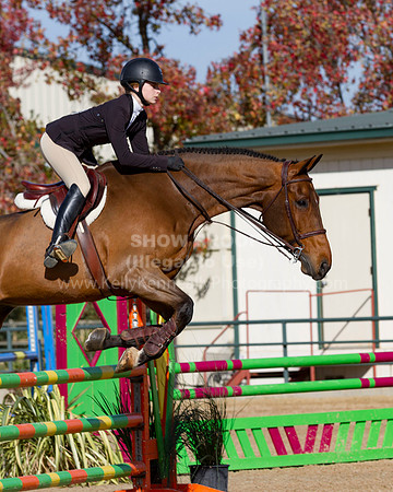 MurietaAutumn18B_2451