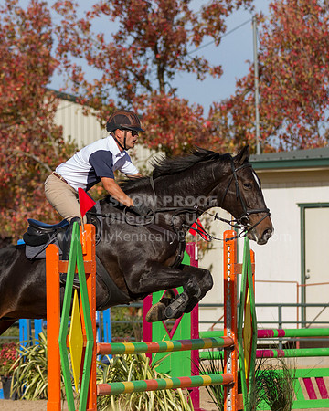 MurietaAutumn18B_2463