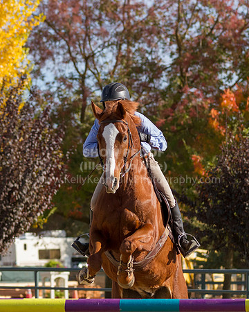 MurietaAutumn18B_2482