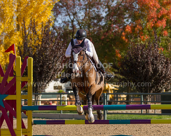 MurietaAutumn18B_2496