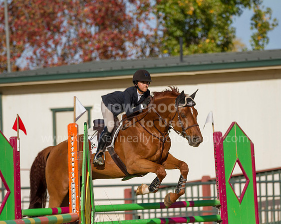 MurietaAutumn18B_2528