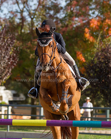 MurietaAutumn18B_2534