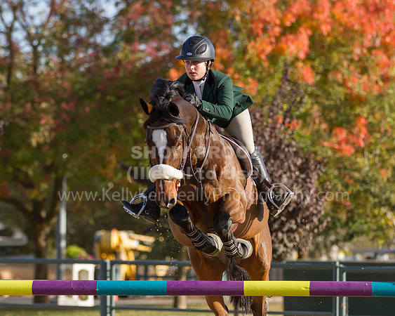 MurietaAutumn18B_2544