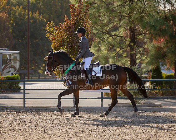 MurietaAutumn18_2_Thurs_0320