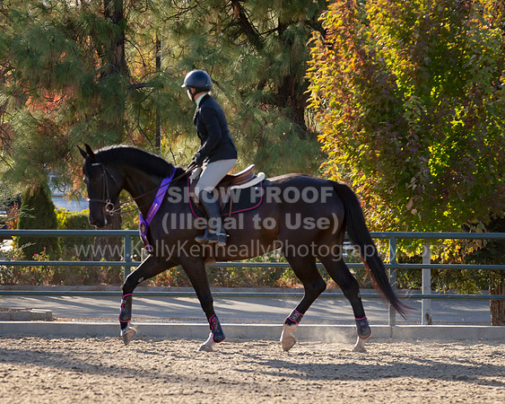MurietaAutumn18_2_Thurs_0321