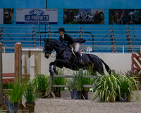 MurietaAutumn18_Derby_1448