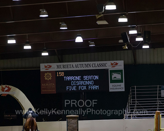 MurietaAutumn18_Derby_1891