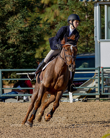 MurietaAutumn18_FrIB_0285