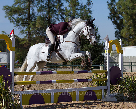 MurietaAutumn18_FrIB_0430