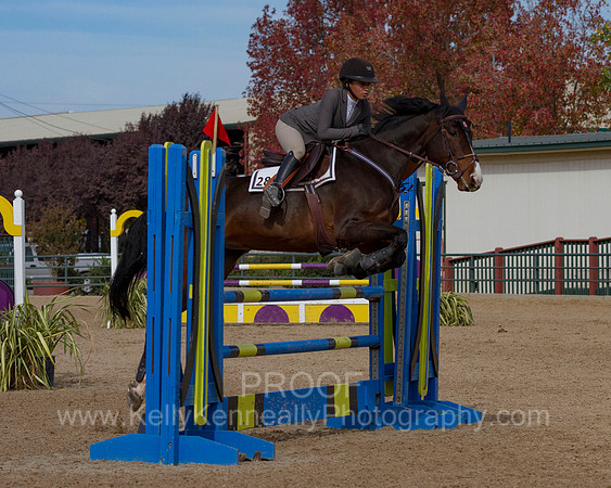 MurietaAutumn18_FrIB_0628