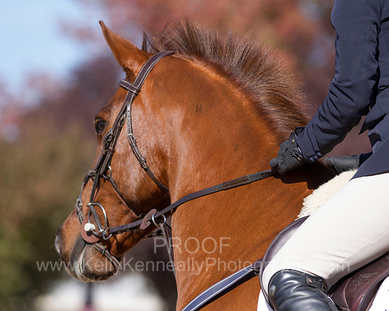MurietaAutumn18_FrIB_0462