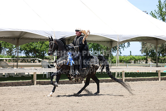 DAHA22_Thurs_1172