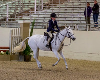 Hunter Ring 1