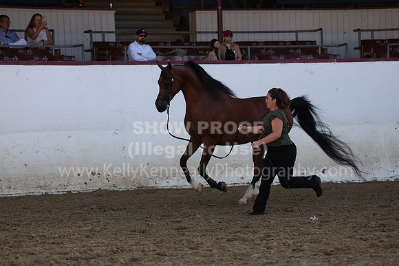 R2_22_Thurs_7417