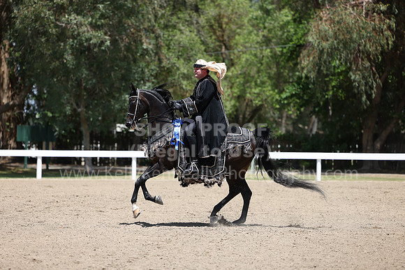 DAHA22_Thurs_1151